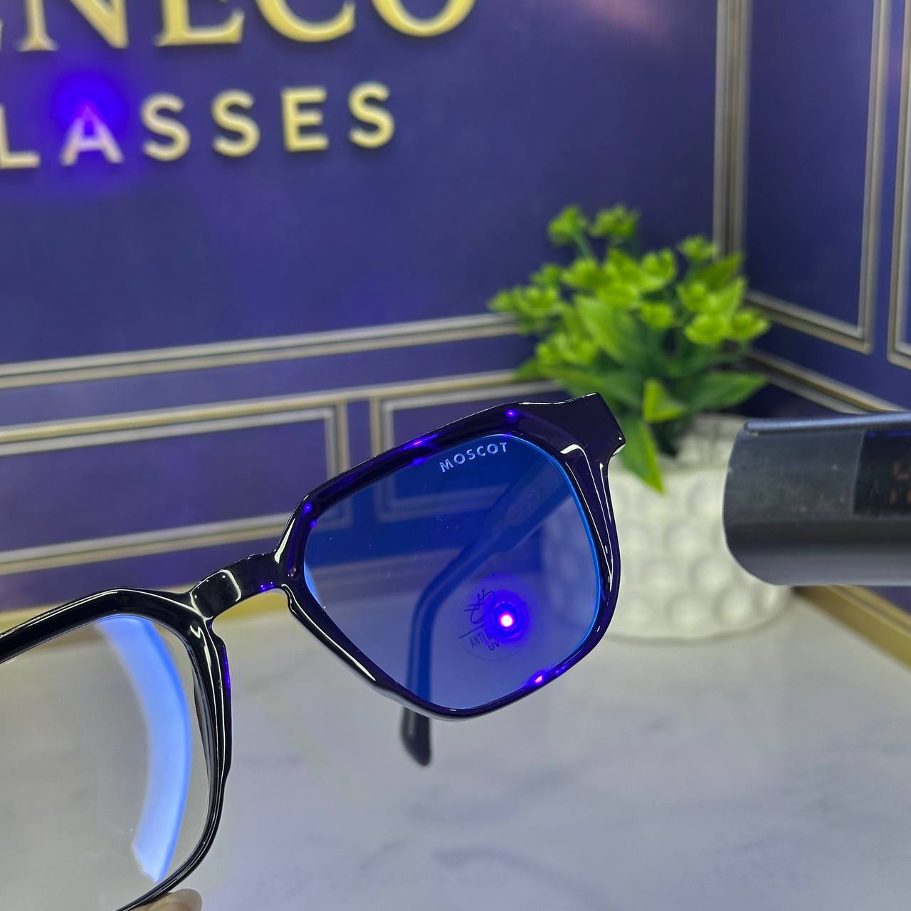 Lunettes Moscot Élégance 4 Saisons